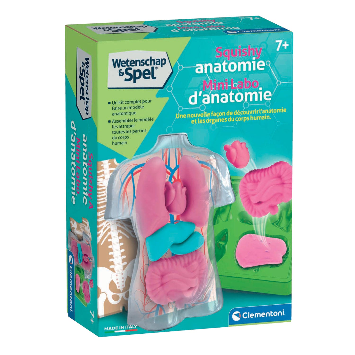 Clementoni wetenschap spel - squishy anatomie