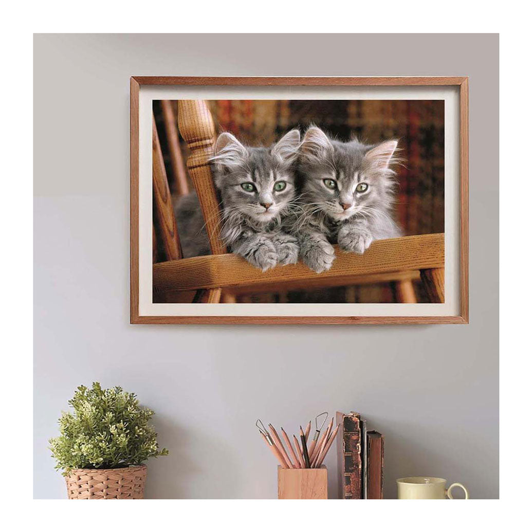 Clementoni legpuzzel kittens, 500st.