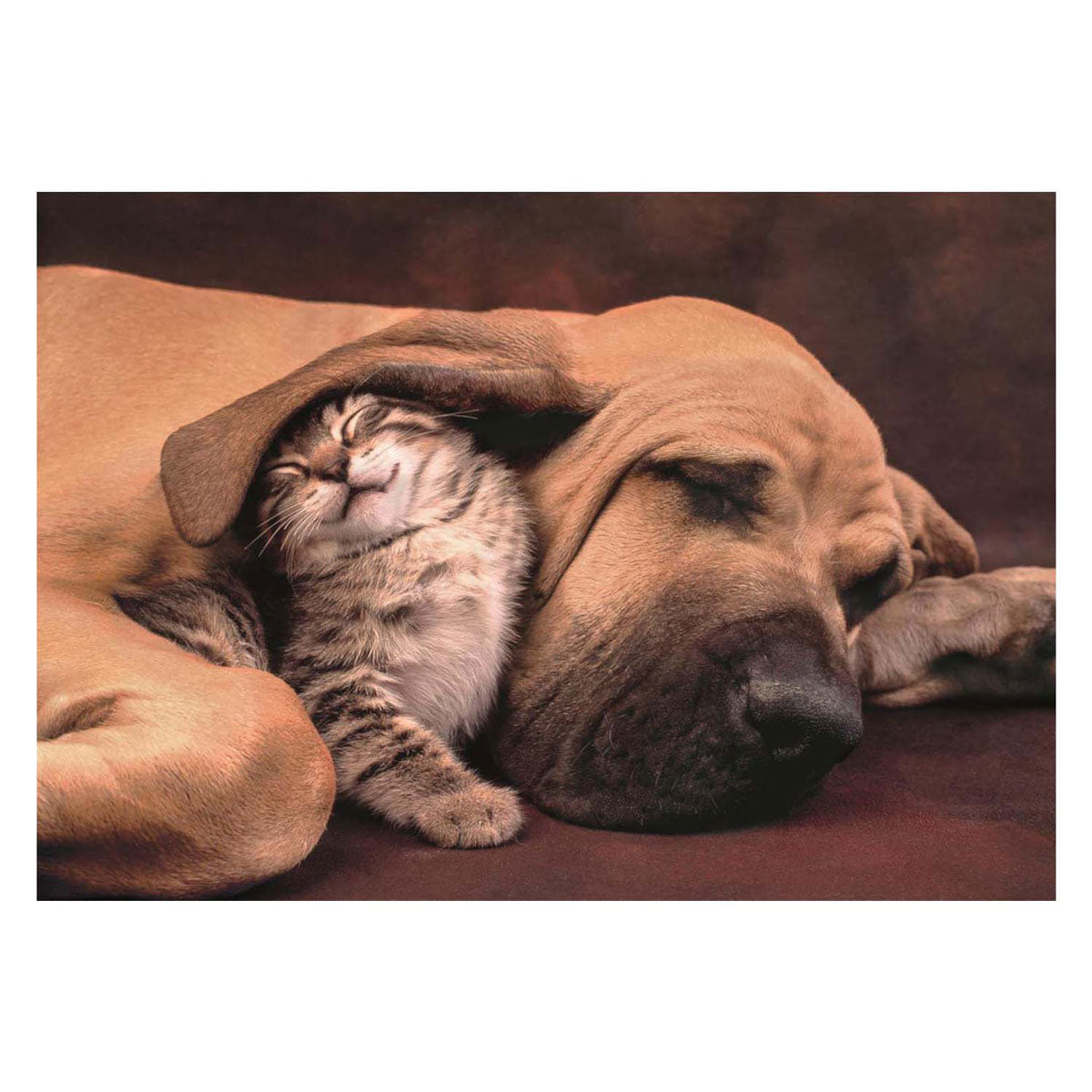 Clementoni legpuzzel hond en kat, 500st.