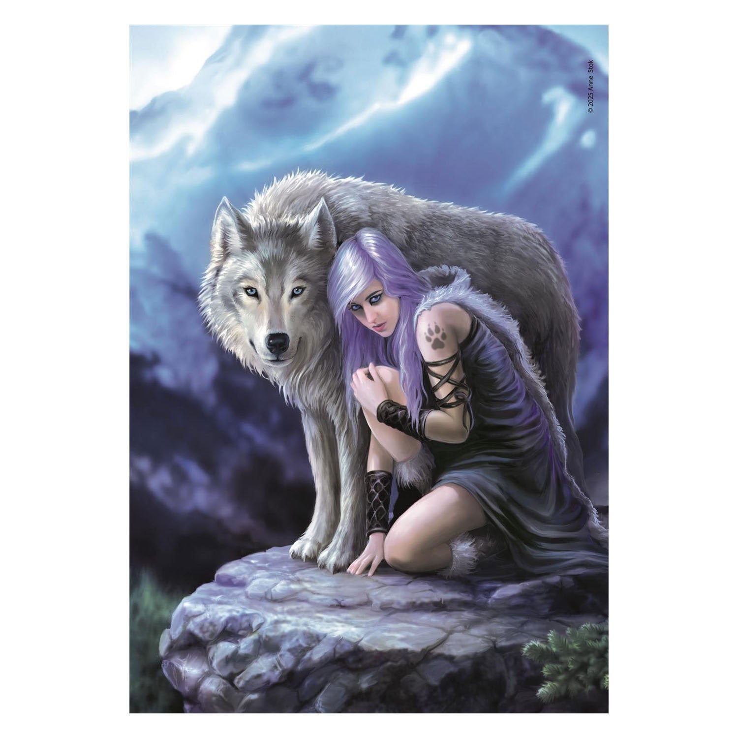 Clementoni legpuzzel anne stokes protector - 1000st.