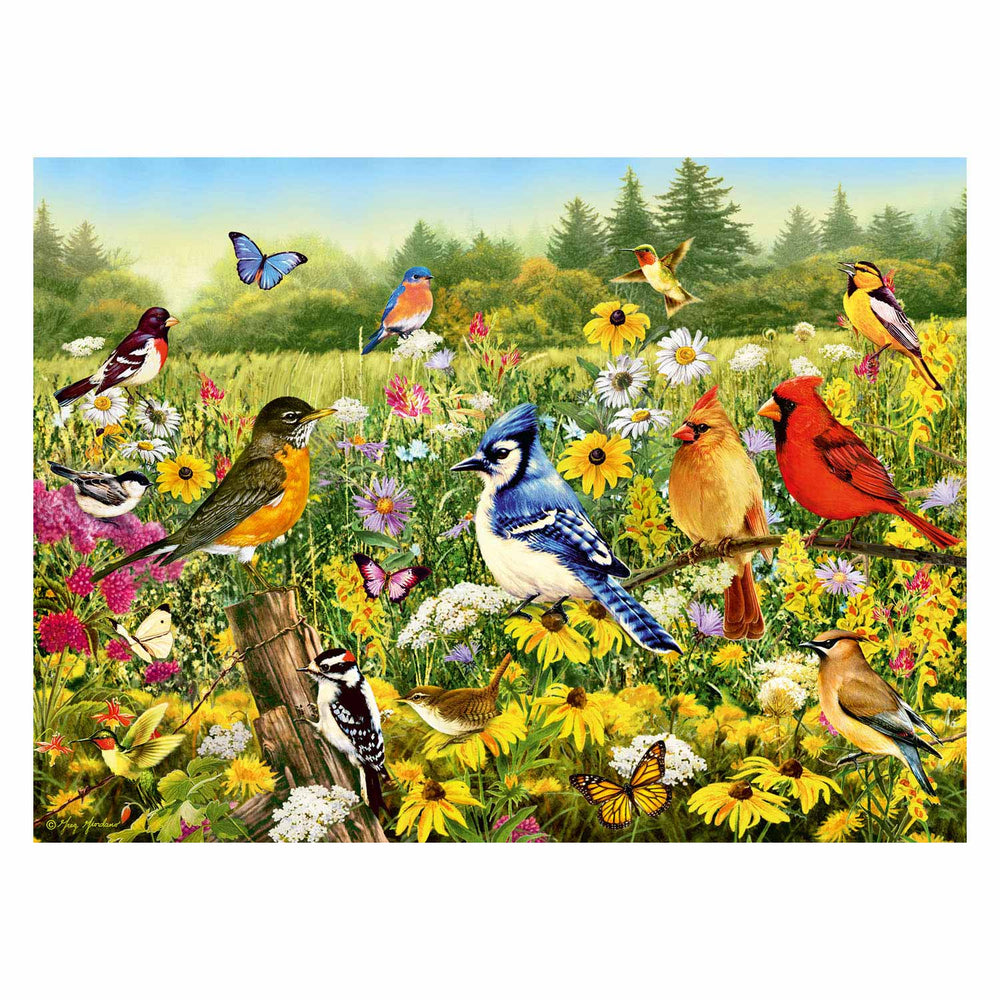Ravensburger Birds in the Meadow Jigsaw Puzzle, 500 Pieces