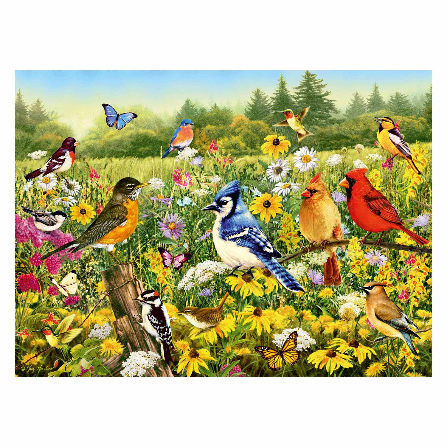 Vogels in de Wei Legpuzzel, 500st.