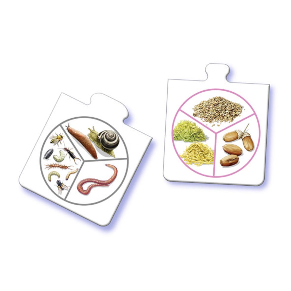 Tiptoi Al Mijn Dieren