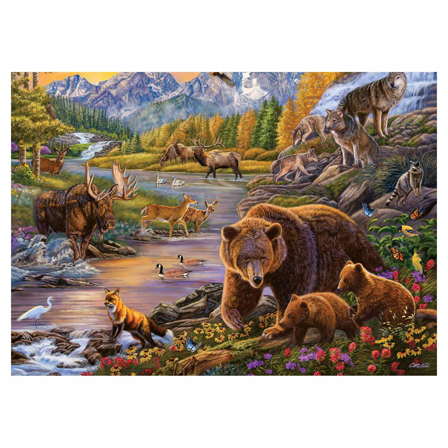 Ravensburgerwildernis, 500st.