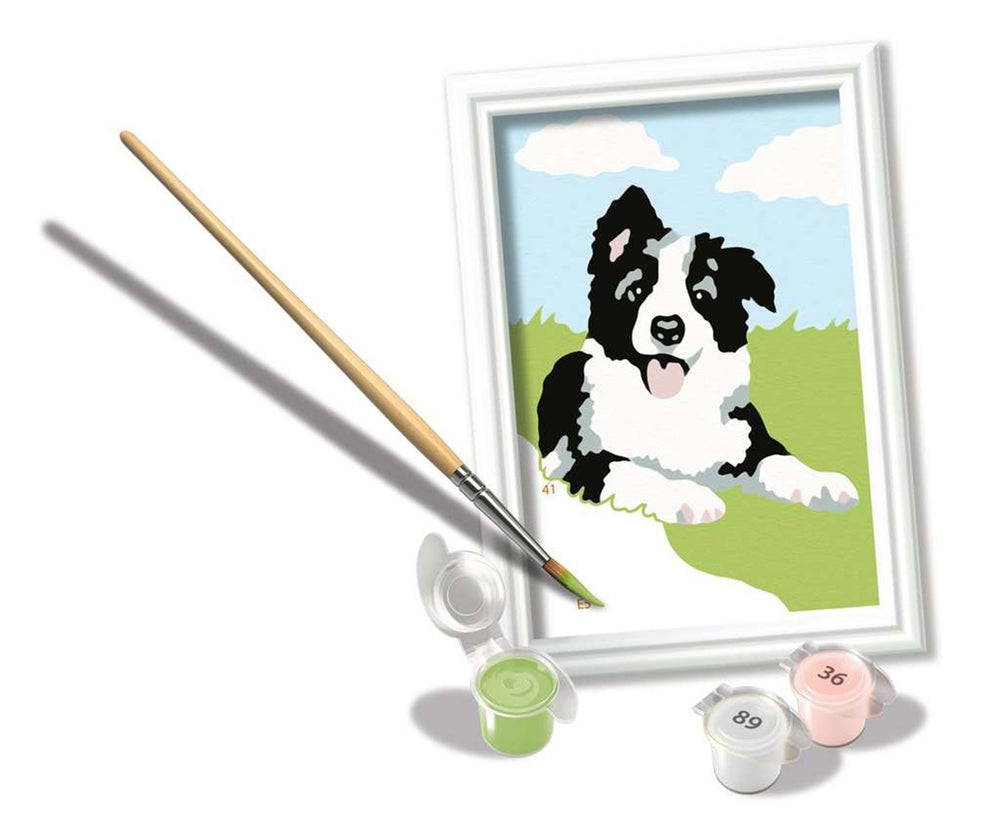 Ravensburger CreArt Paint by Numbers Border Collie
