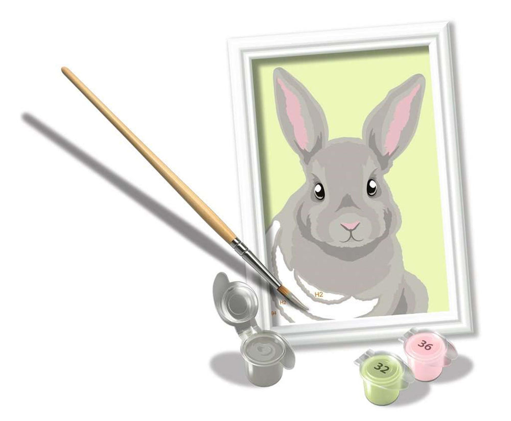 Ravensburger Creart Paint by Numbers - Grey Rabbit