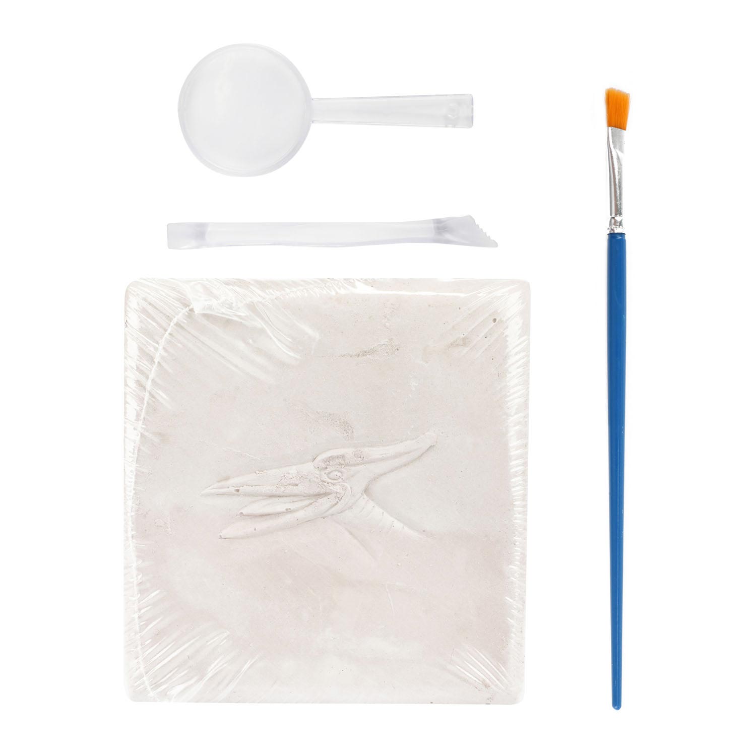 World of Dinosaurs Uitgraafset 'dino fossiele'