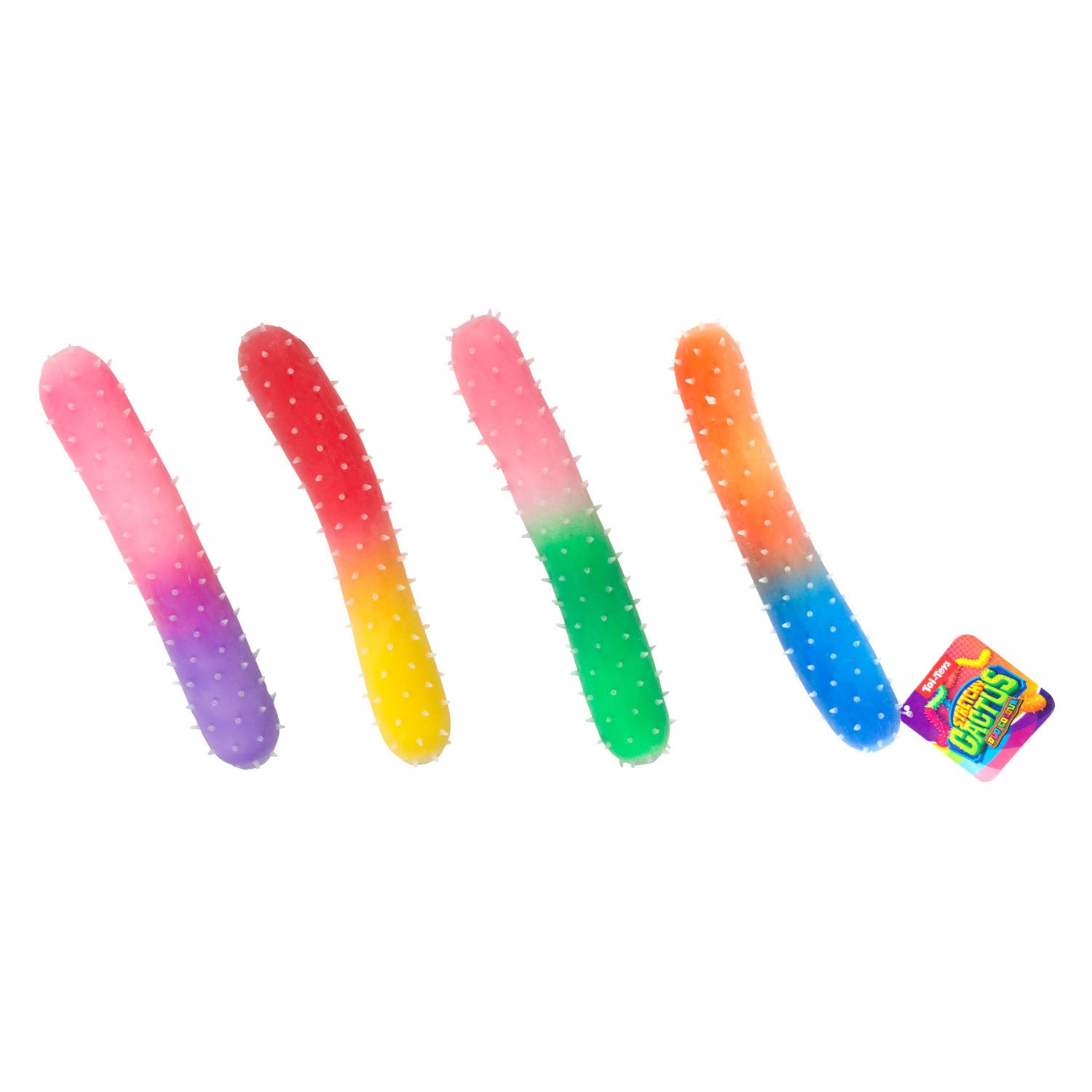 Toi-toys fun kneedcactus regenboog rekbaar, 24cm