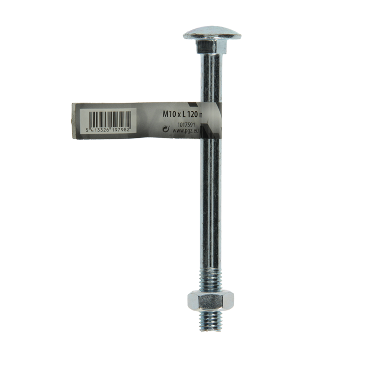 Mack 1017591 - houtbout + moer staal verzinkt1 st m10 x 120 mm | 10 stuks