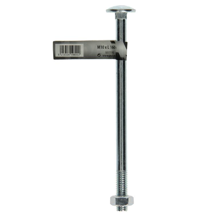 Mack 1017593 - houtbout + moer staal verzinkt1 st m10 x 160 mm | 10 stuks