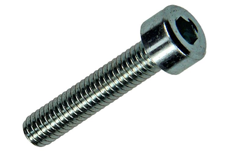 Mack 1017645 - binnenzeskant bout cyl.kop verz. 11 st m4 x 20 mm | 10 stuks