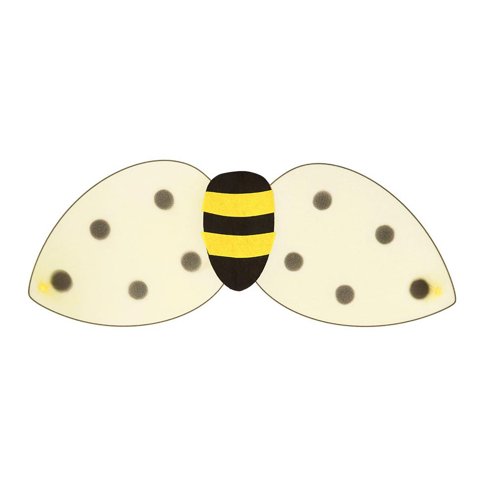 Boland verkleedset bij