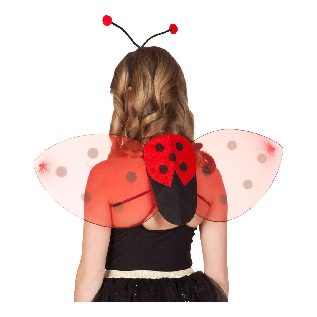 Boland verkleedset lieveheersbeestje