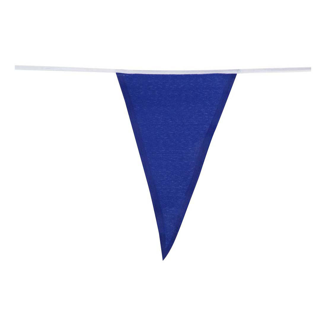 Boland polyester kleurrijke vlaggenlijn 10m