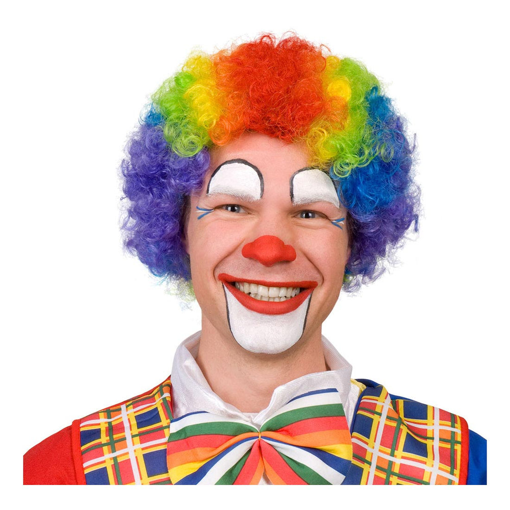 Boland pruik clown multikleur volwassenen