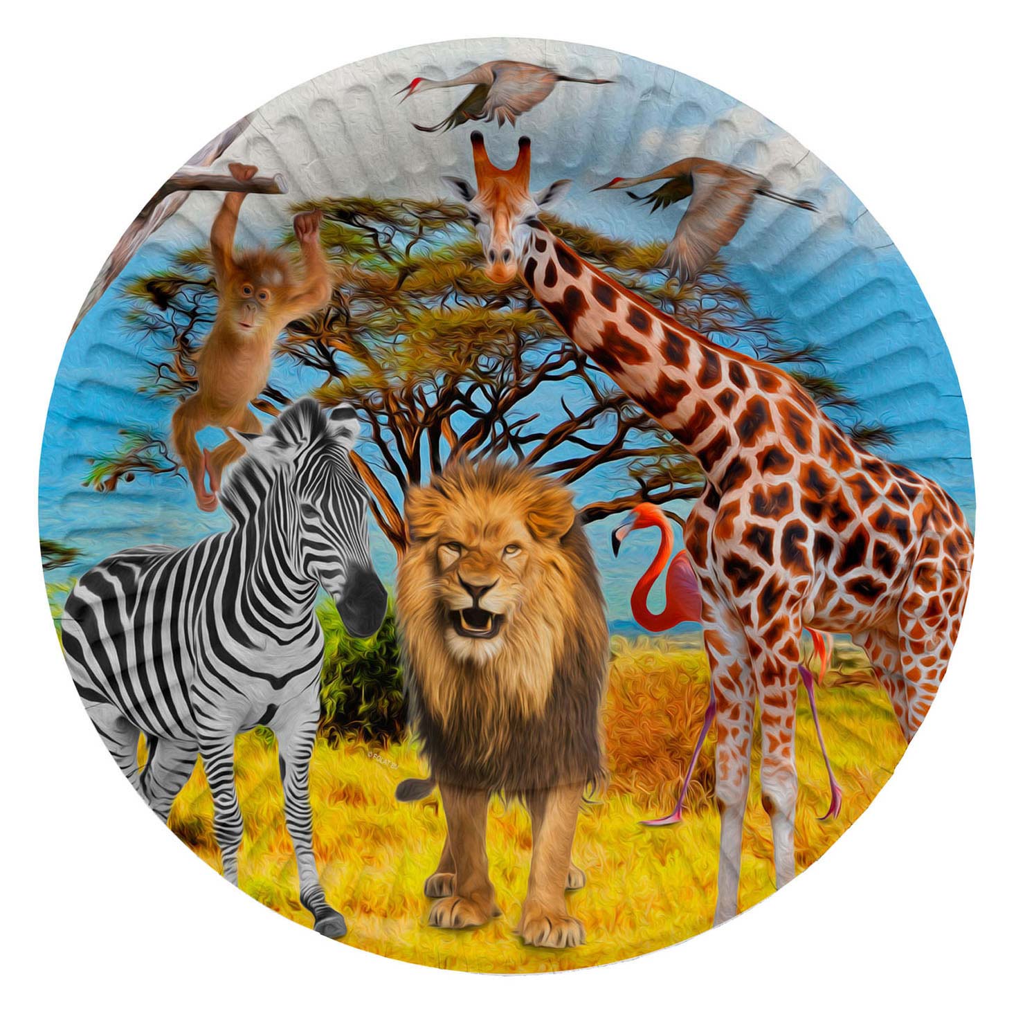 Safari Borden, 8e.
