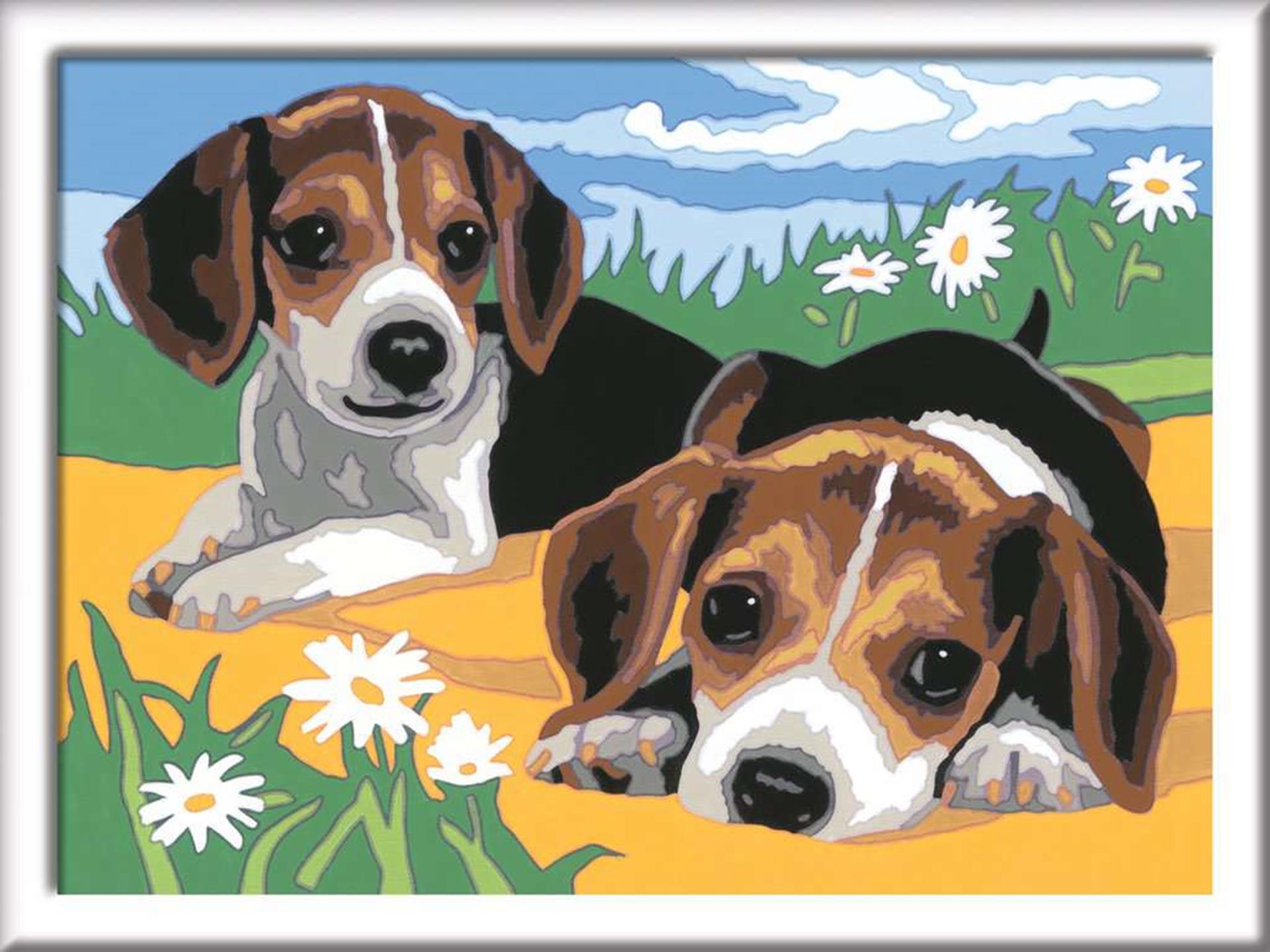 Ravensburger creëert een aantal beagle-puppy's