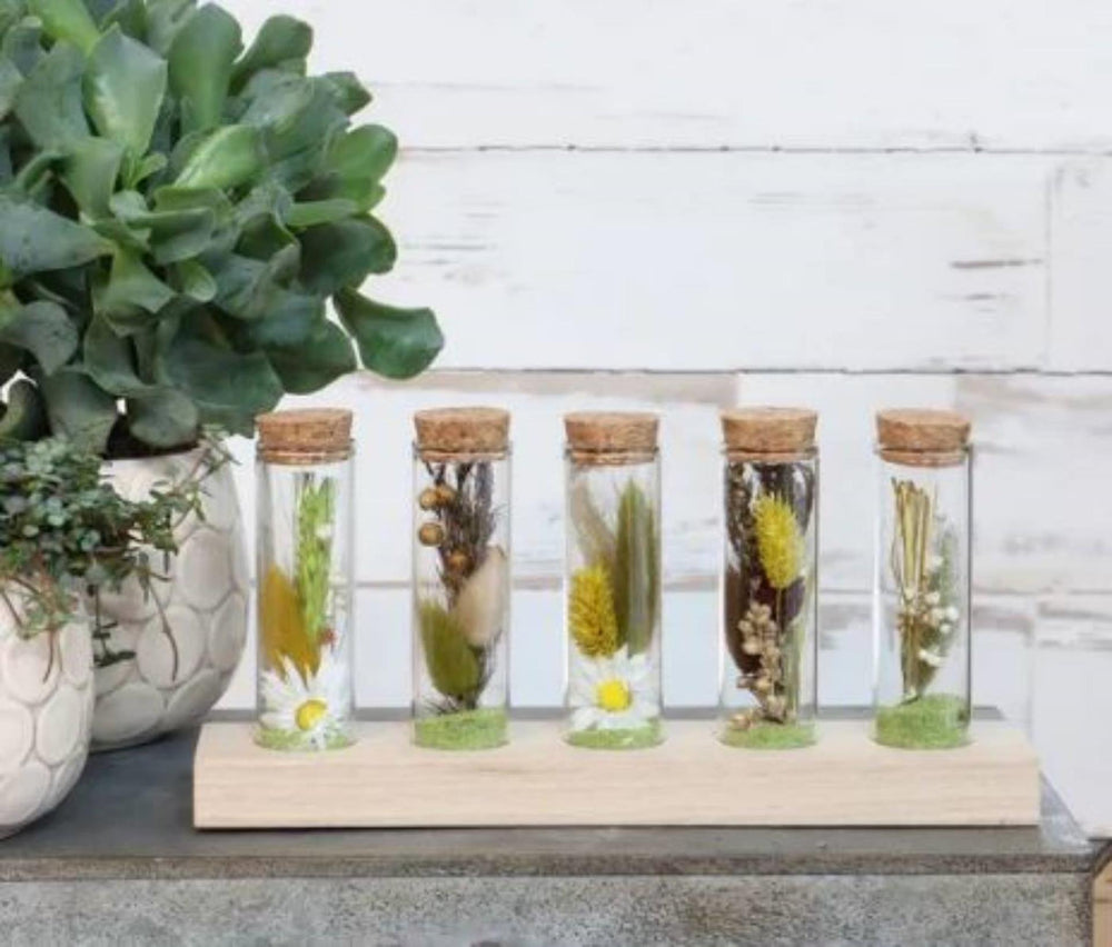 Ideas 4 seasons houten houder met 5 reageerbuizen met kurk stopper ø3x10cm