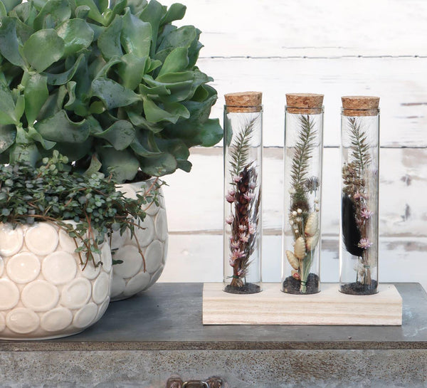 Ideas 4 seasons houten houder met 3 reageerbuizen met kurk stopper ø3x15cm