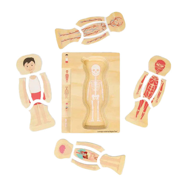 Bigjigs houten anatomiepuzzel - jongen, 26st.