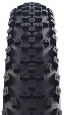 Schwalbe buitenband Smart Sam Plus Performance 29 x 2,25 zw refl