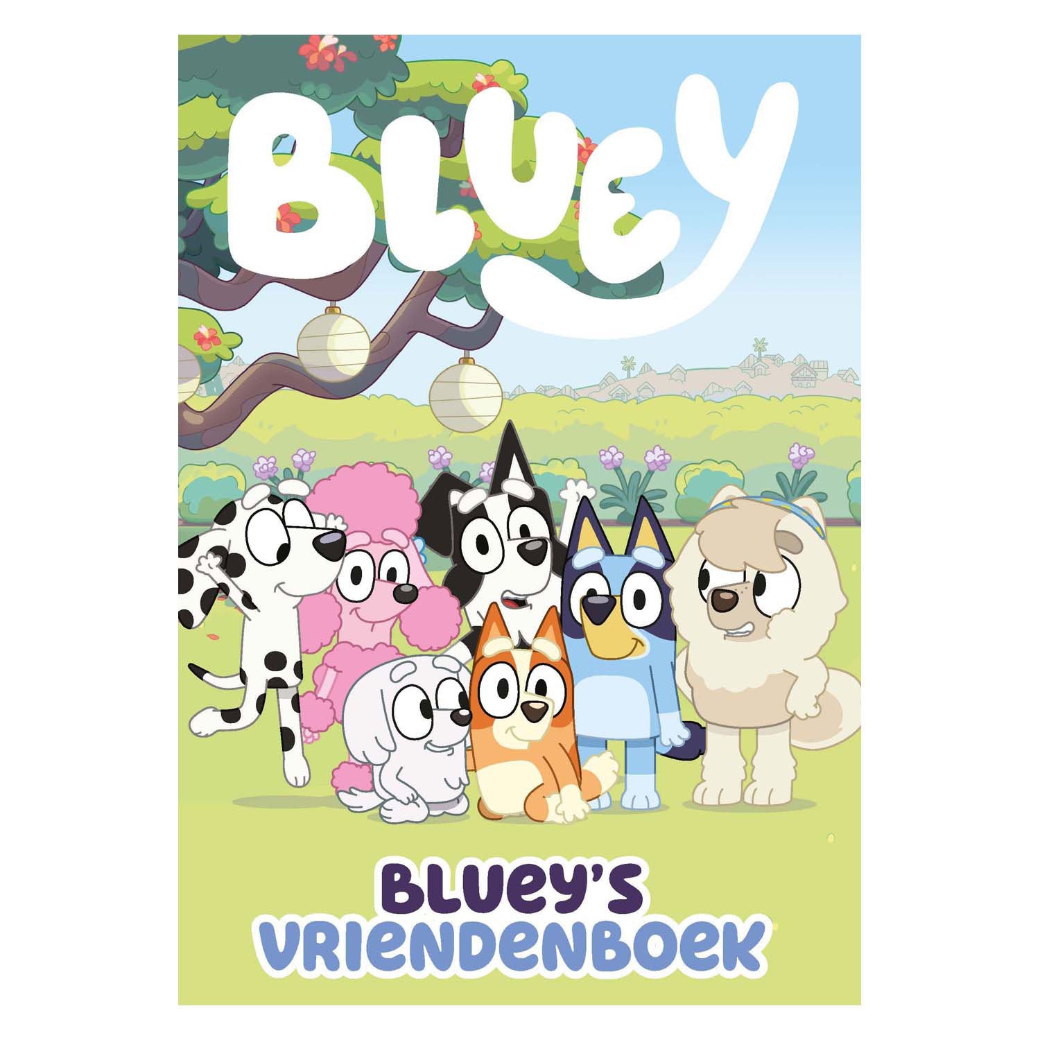 Vriendenboek blauw