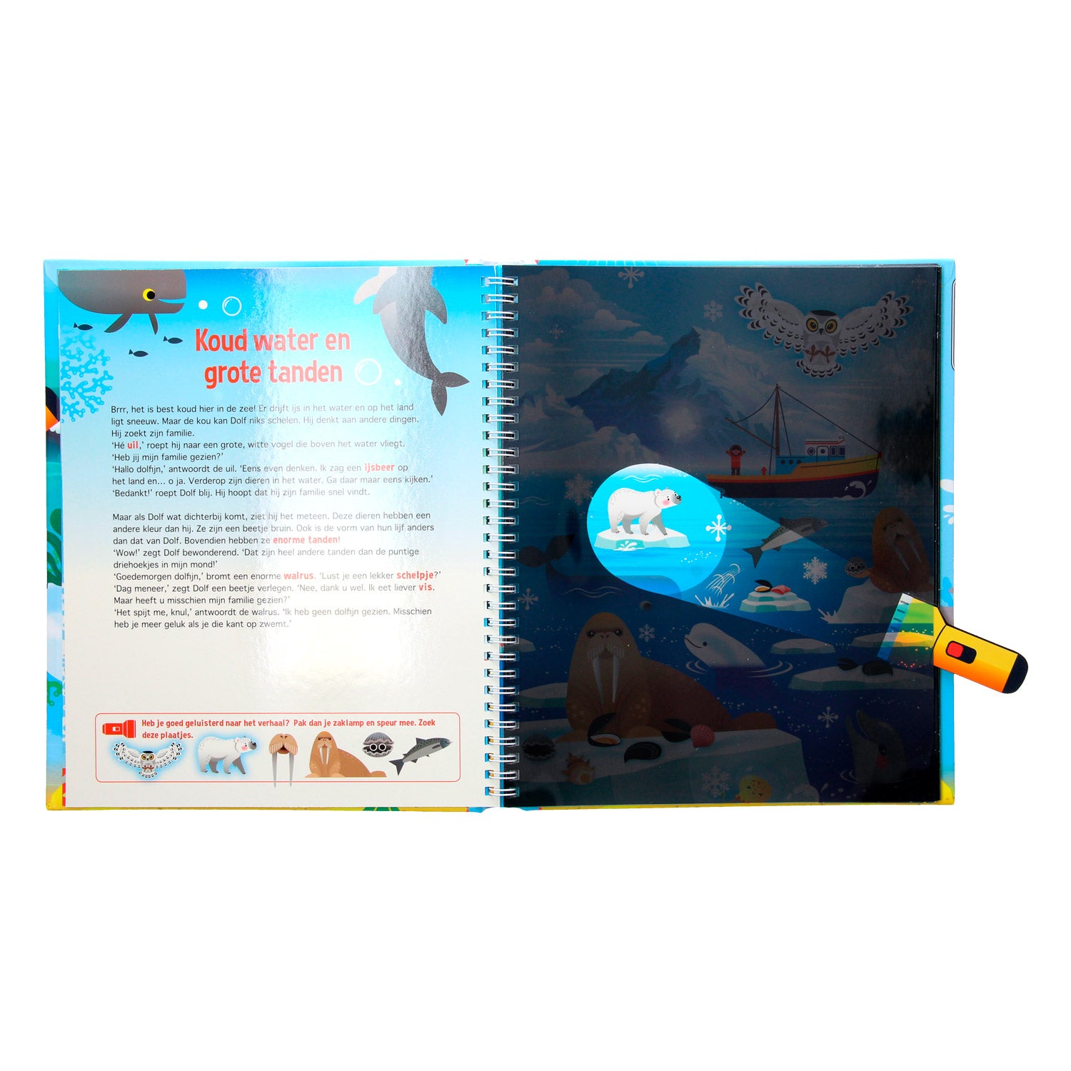 Speuren naar dolfijnen + analoge zaklamp