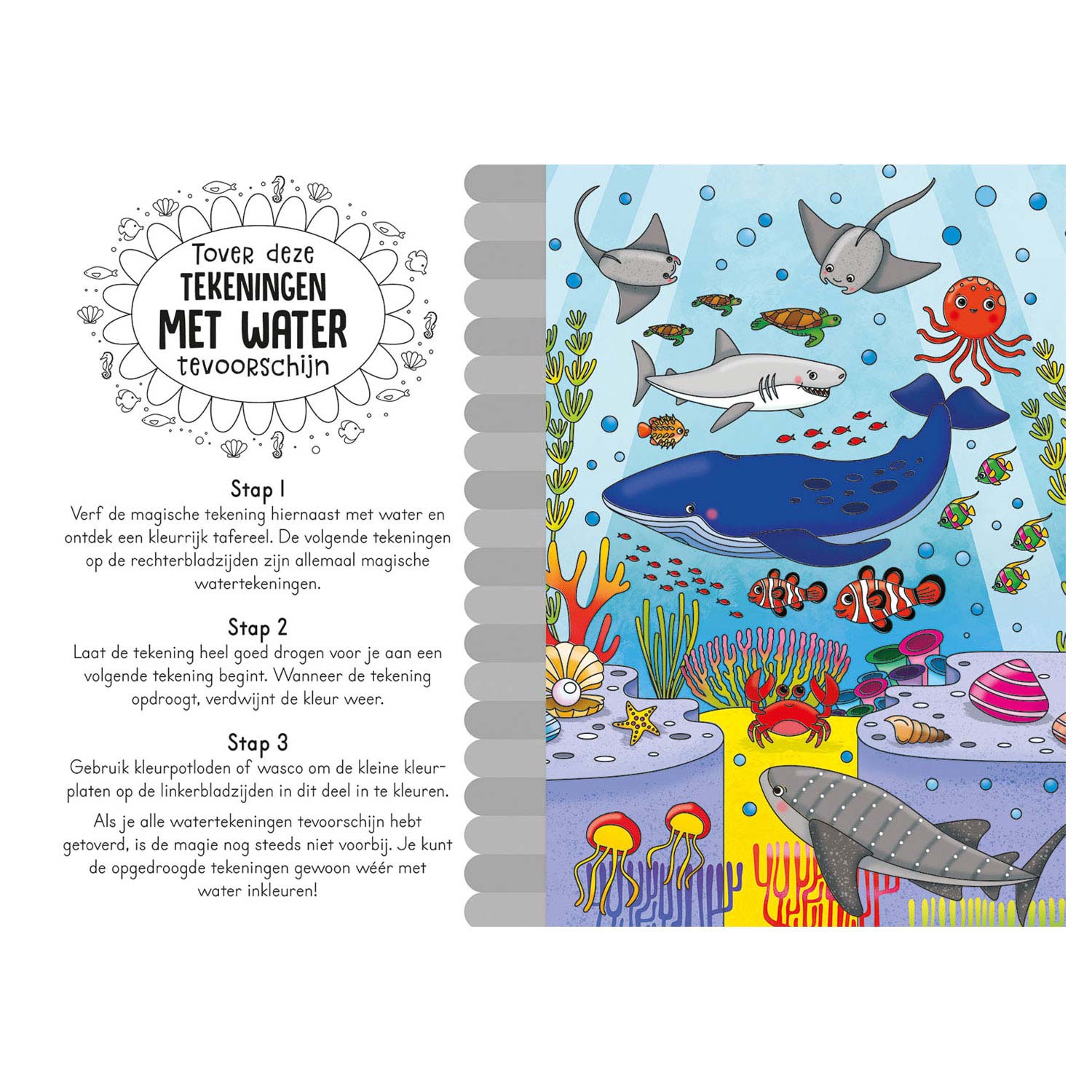Magisch aquarelboek - In de zee