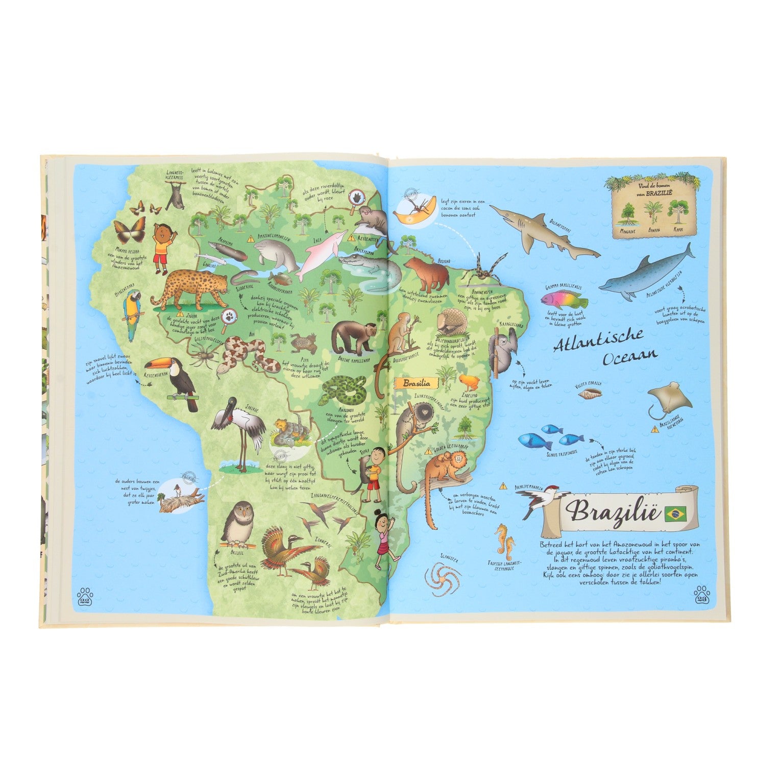Rebo uitgevers dierenatlas