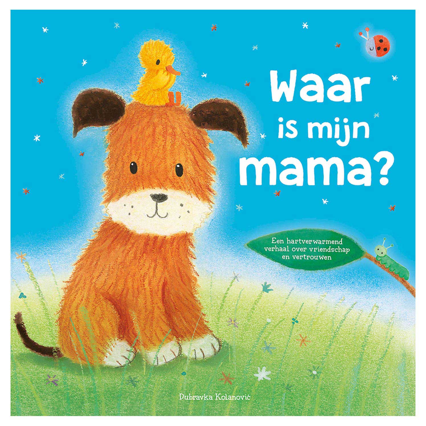 Rebo uitgeverij waar is mijn mama?