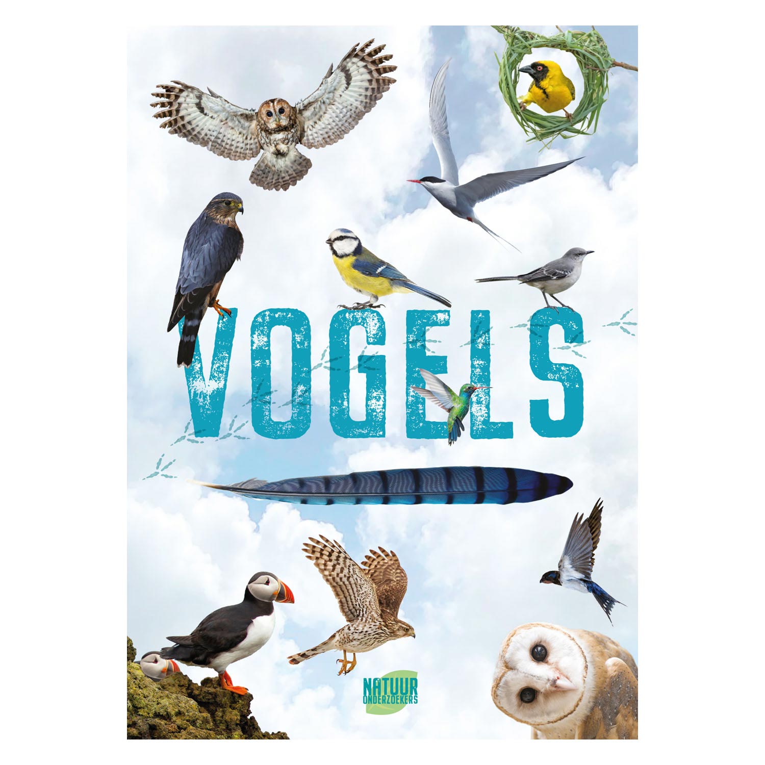 Rebo uitgevers vogels - gids en natuurdagboek voor kinderen