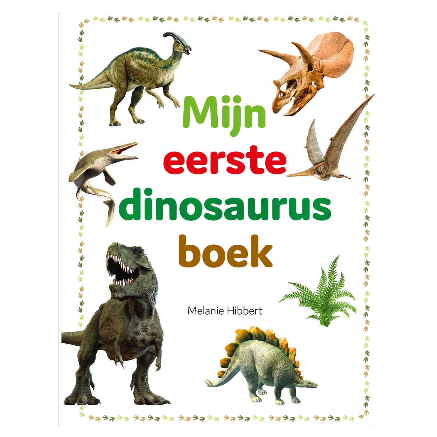 Rebo uitgevers mijn eerste dinosaurusboek