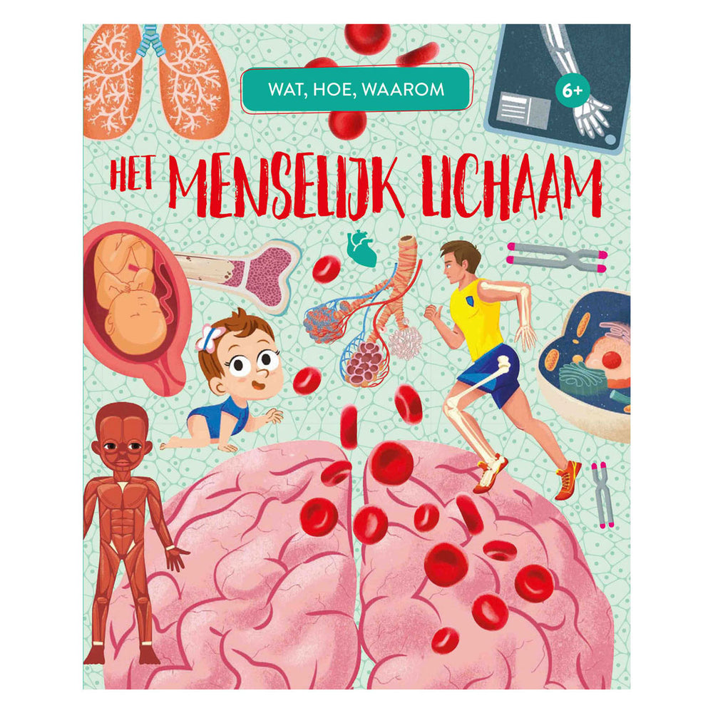 Rebo publishers het menselijk lichaam - wat, hoe, waarom