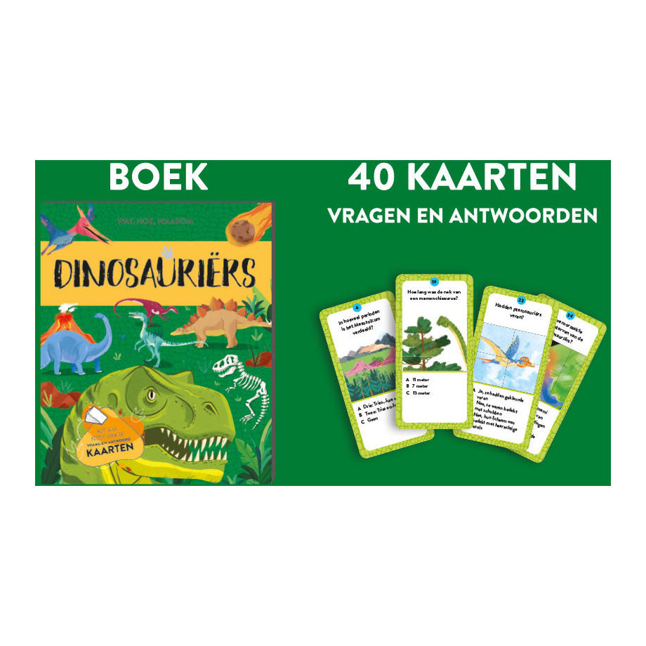Rebo uitgevers dinosauriers - feit- en speelset