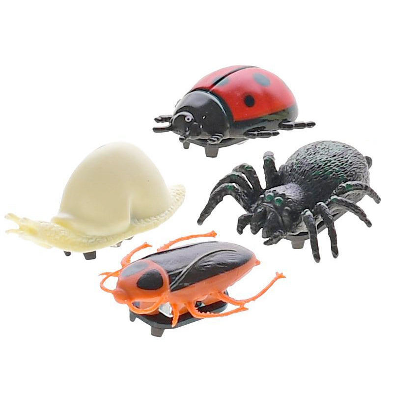 Raamkruiper insecten, 4st.