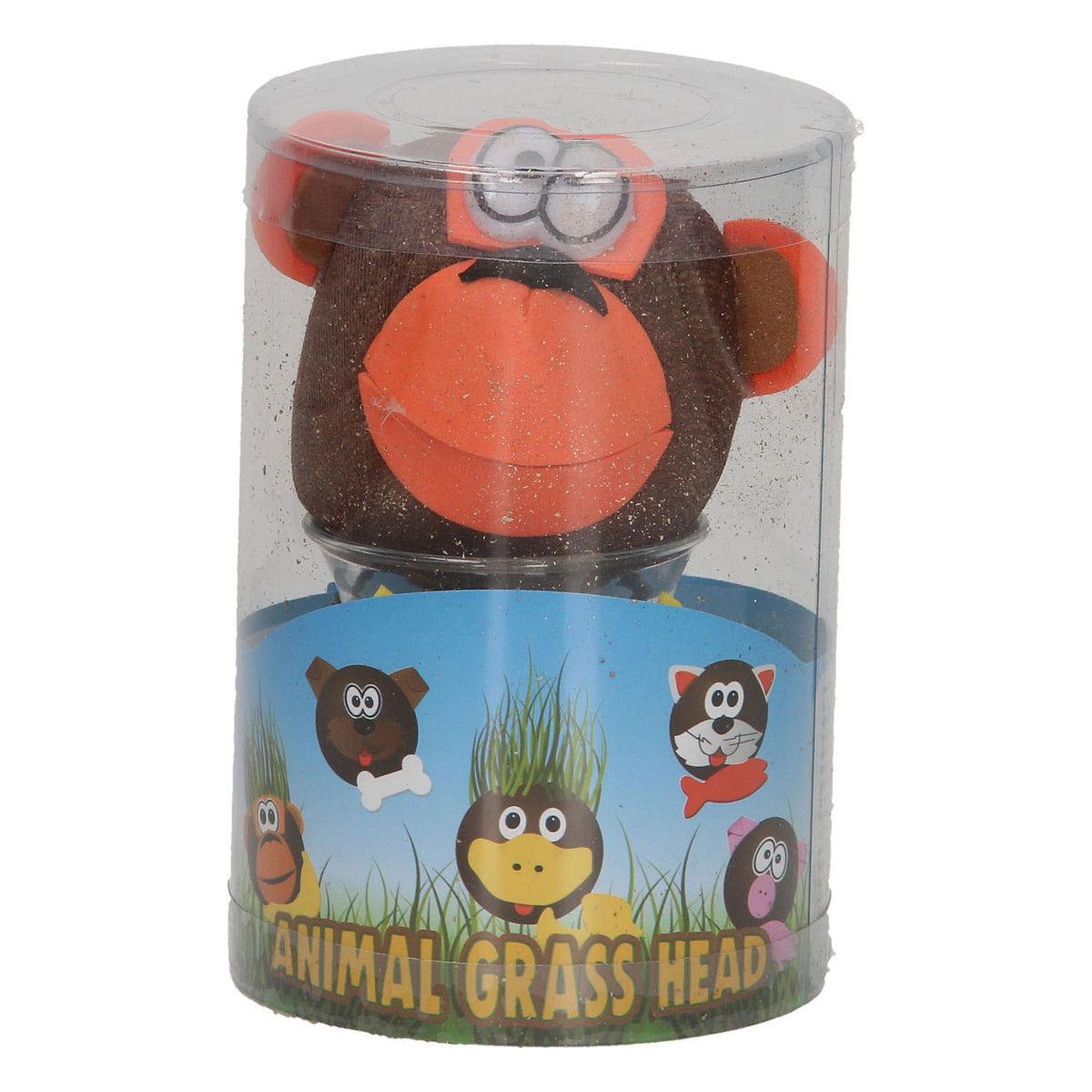 Caring for Grass Friends animals