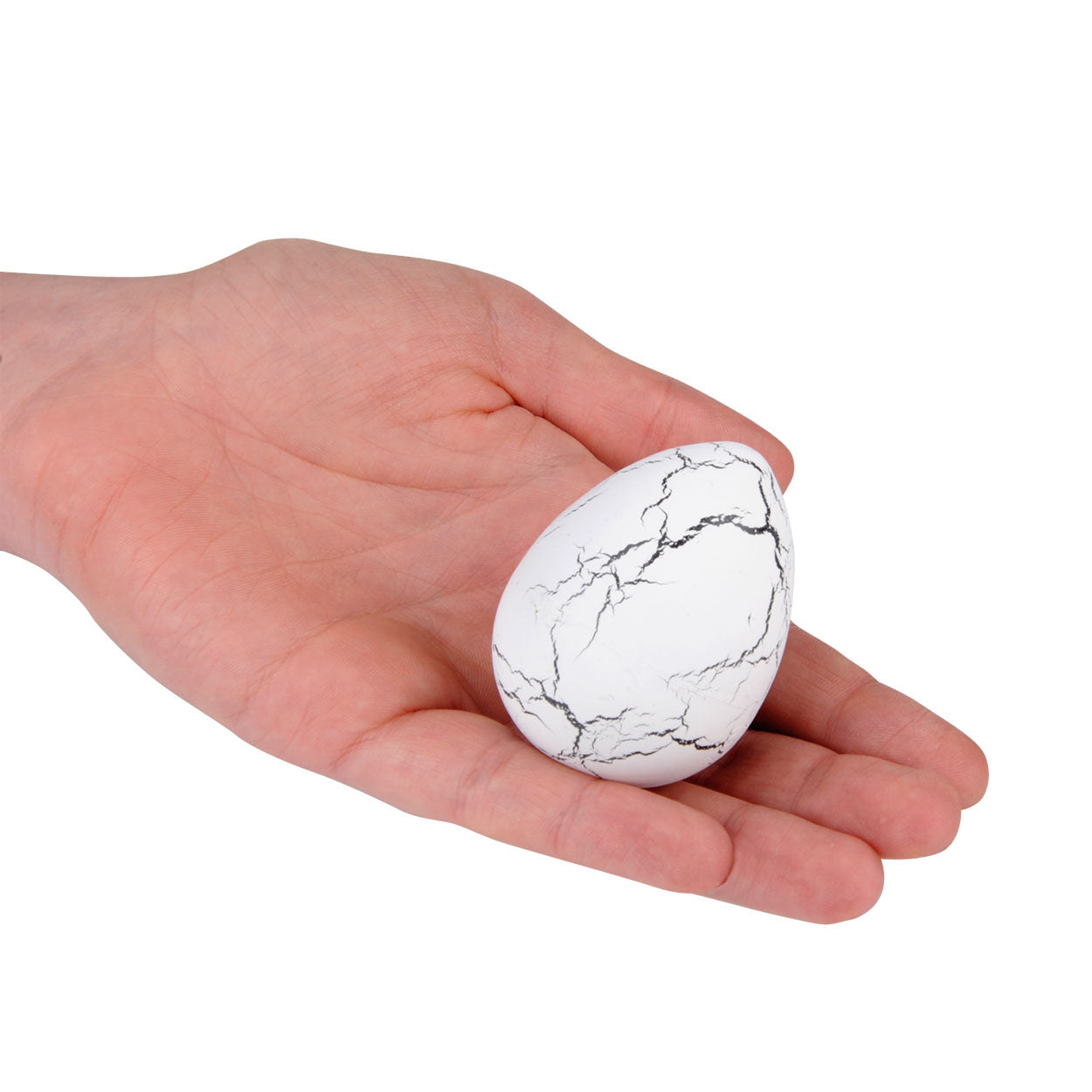 Johntoy groeiende dinosaurus in het ei - 6,5 x 4 cm