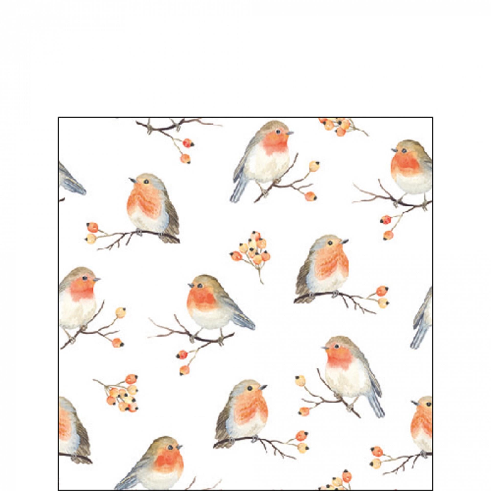 Ambiente servetten robin family 33cm