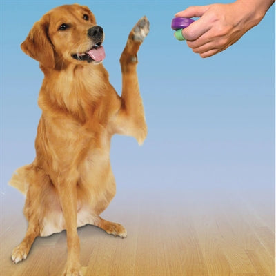 Clik-r petsafe clicker voor training