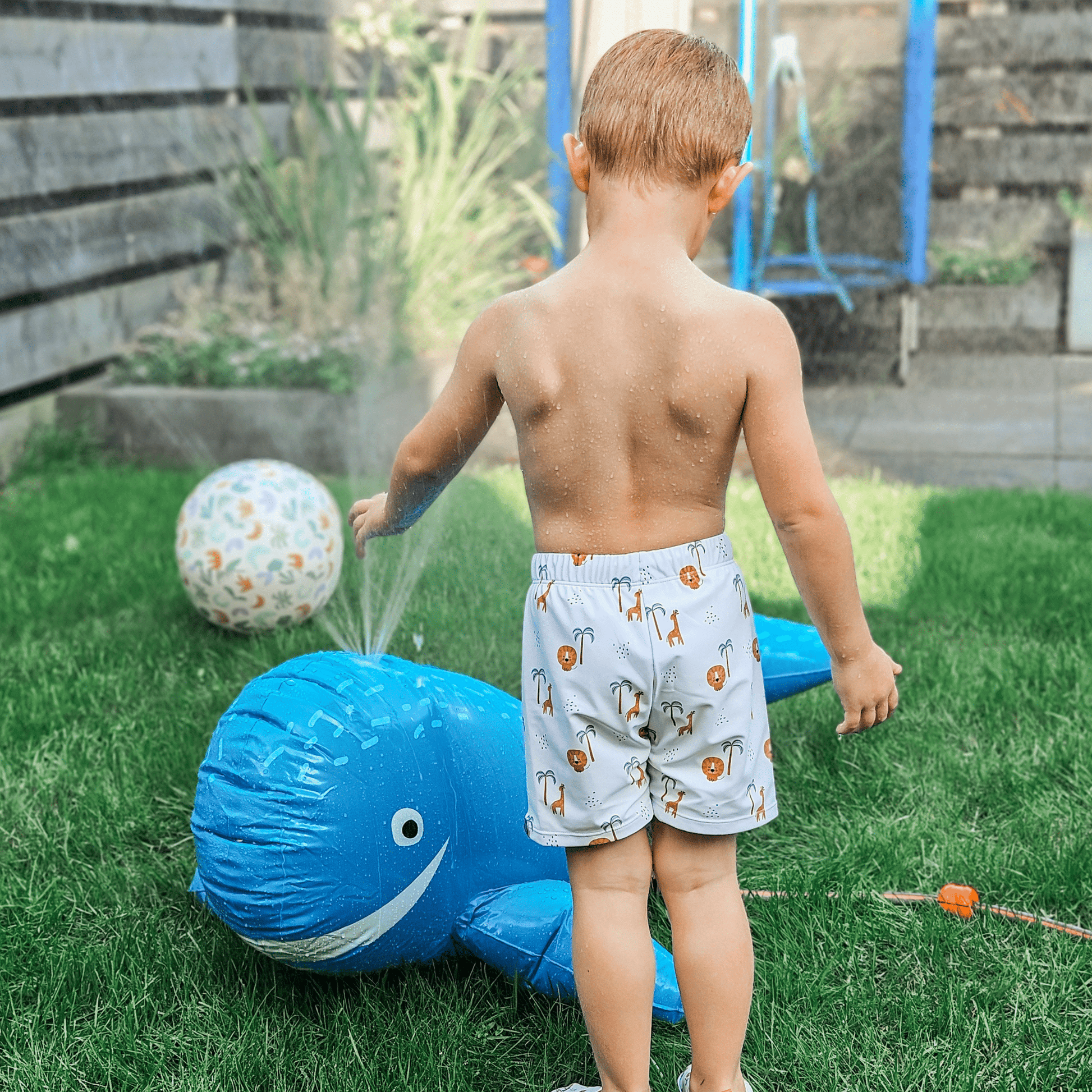 Droomlandschap | blauwe walvis watersproeier