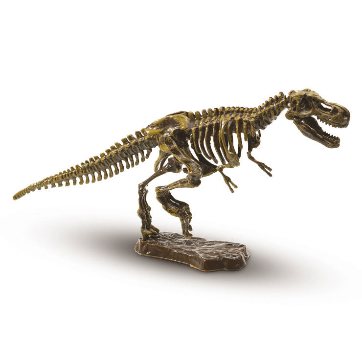 Six creative six t-rex excavation