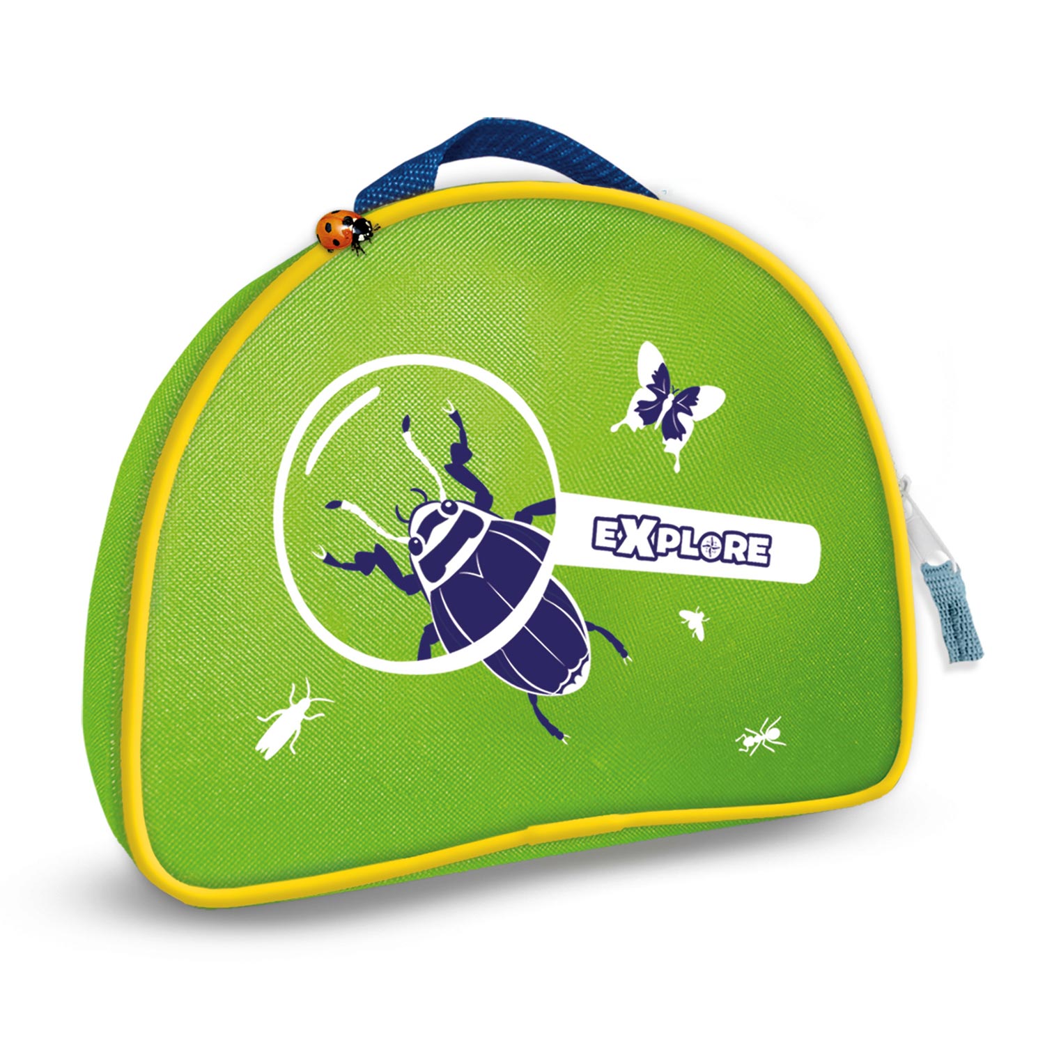 Ses explore - insectenverkenner