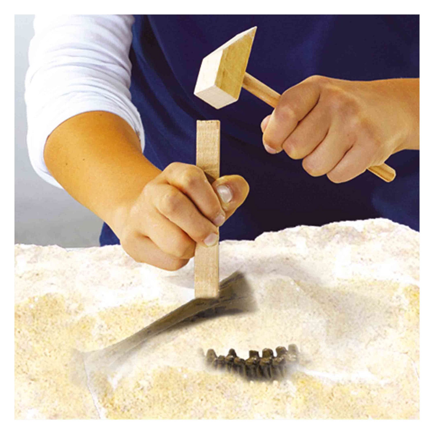 Ontdek dino en skelet opgraven 2in1 - t-rex