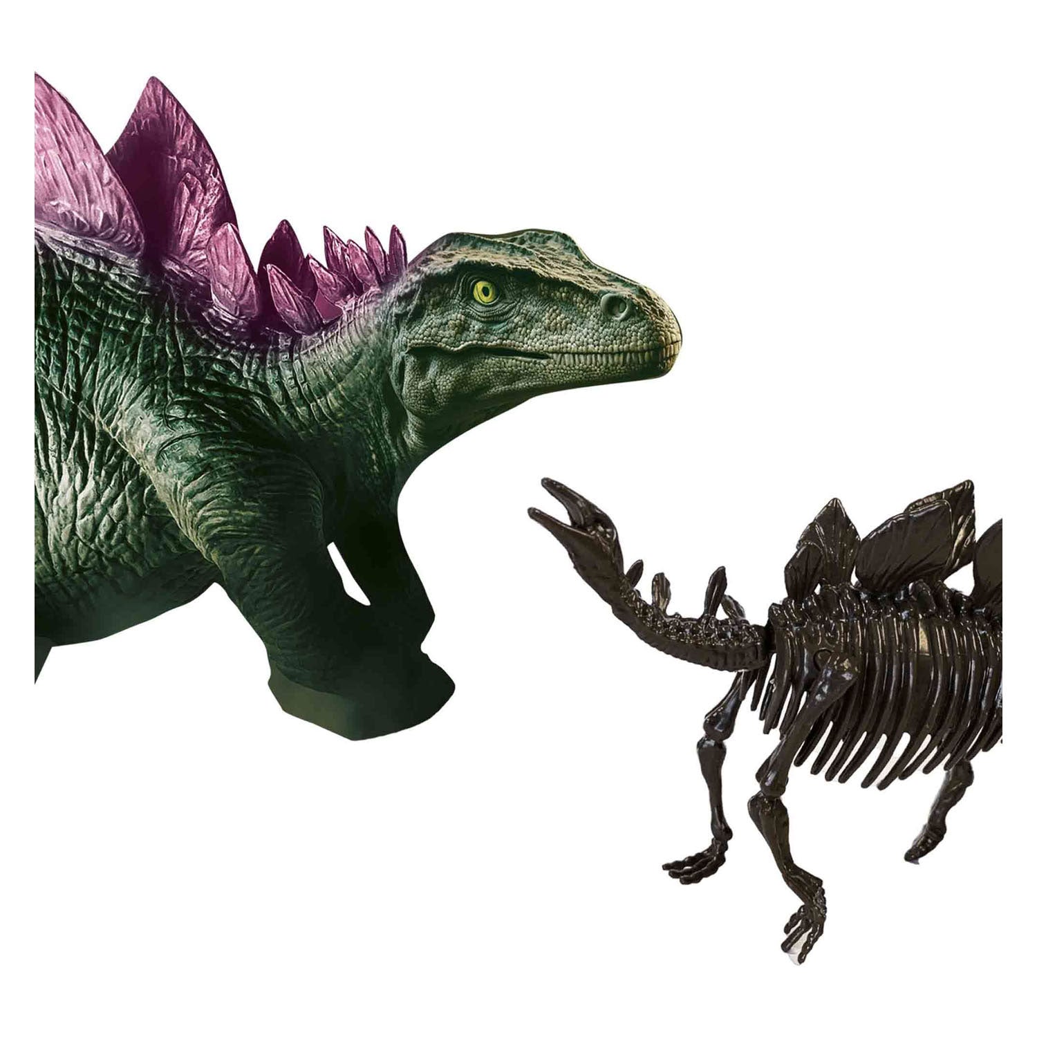 Ontdek dino en skelet opgraven 2in1-stegosaurus