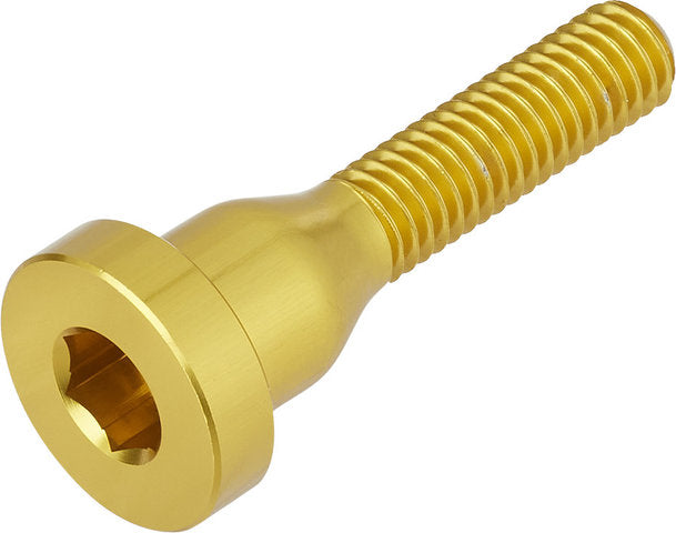Burgtec bolt for top cap