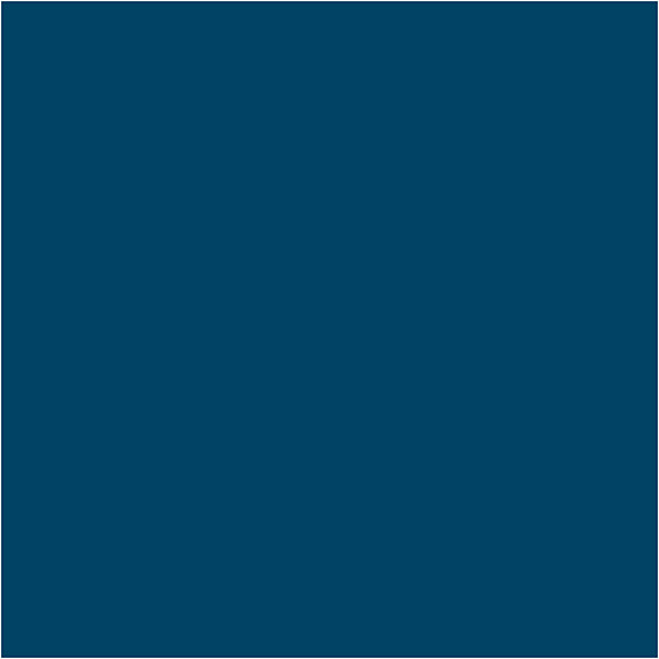 Imp caran d’ache neocolor i