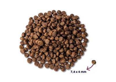 Renske Super premium puppy kiplam