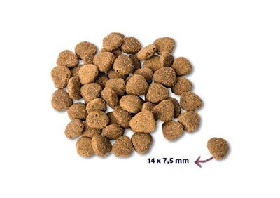 Renske Super premium volwassen eend konijn