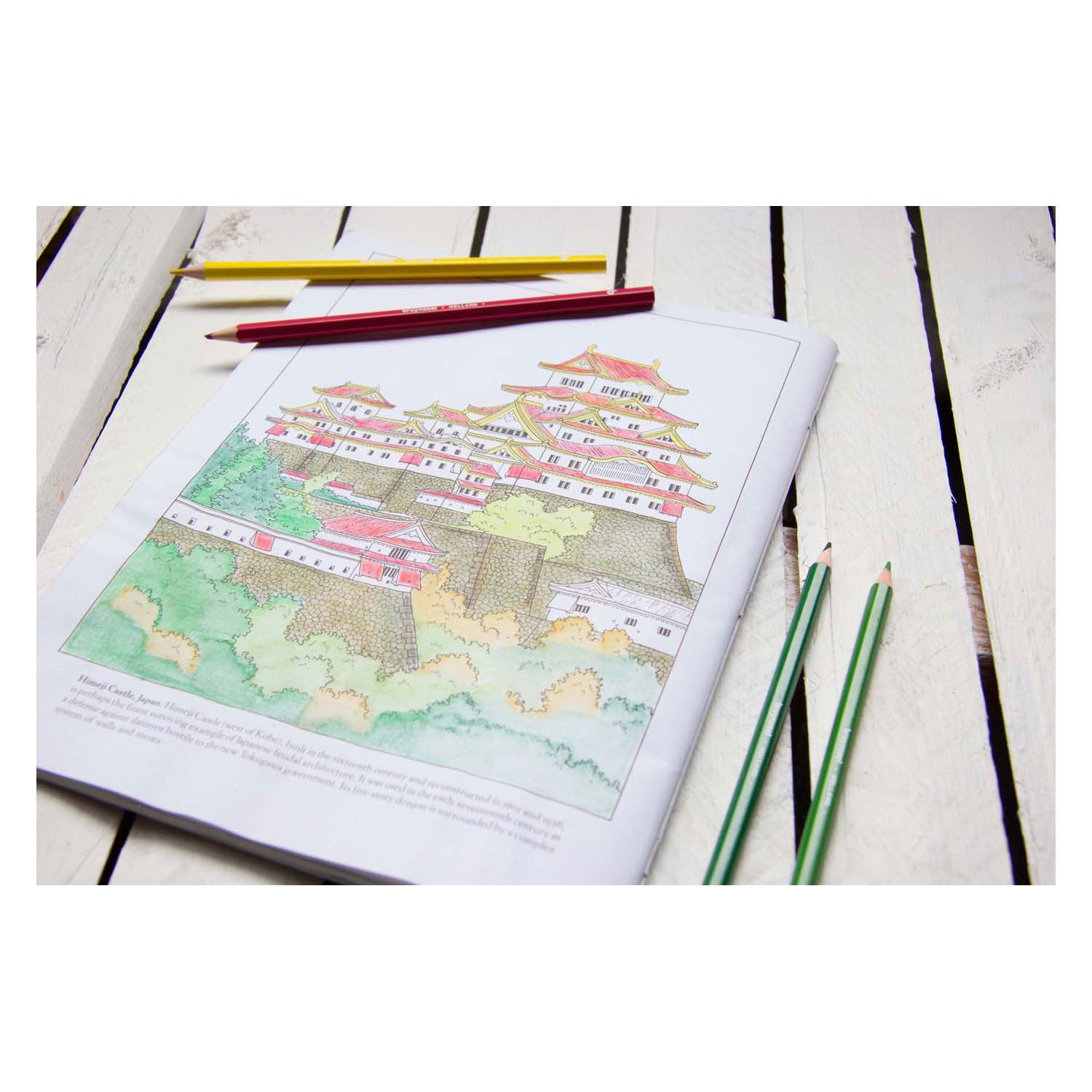 Bruynzeel papegaai 45 kleurpotloden