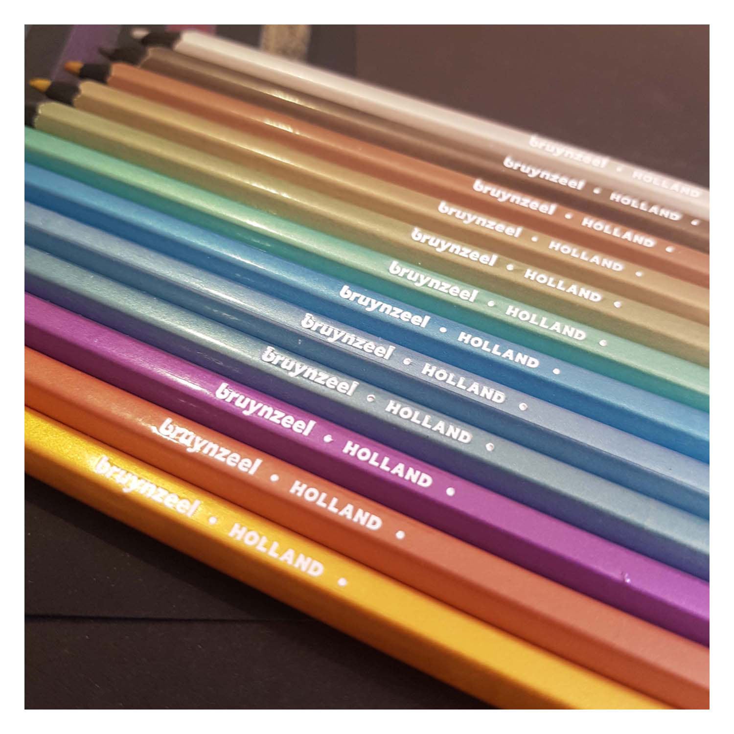 Bruynzeel schildpad blik 45 kleurpotloden